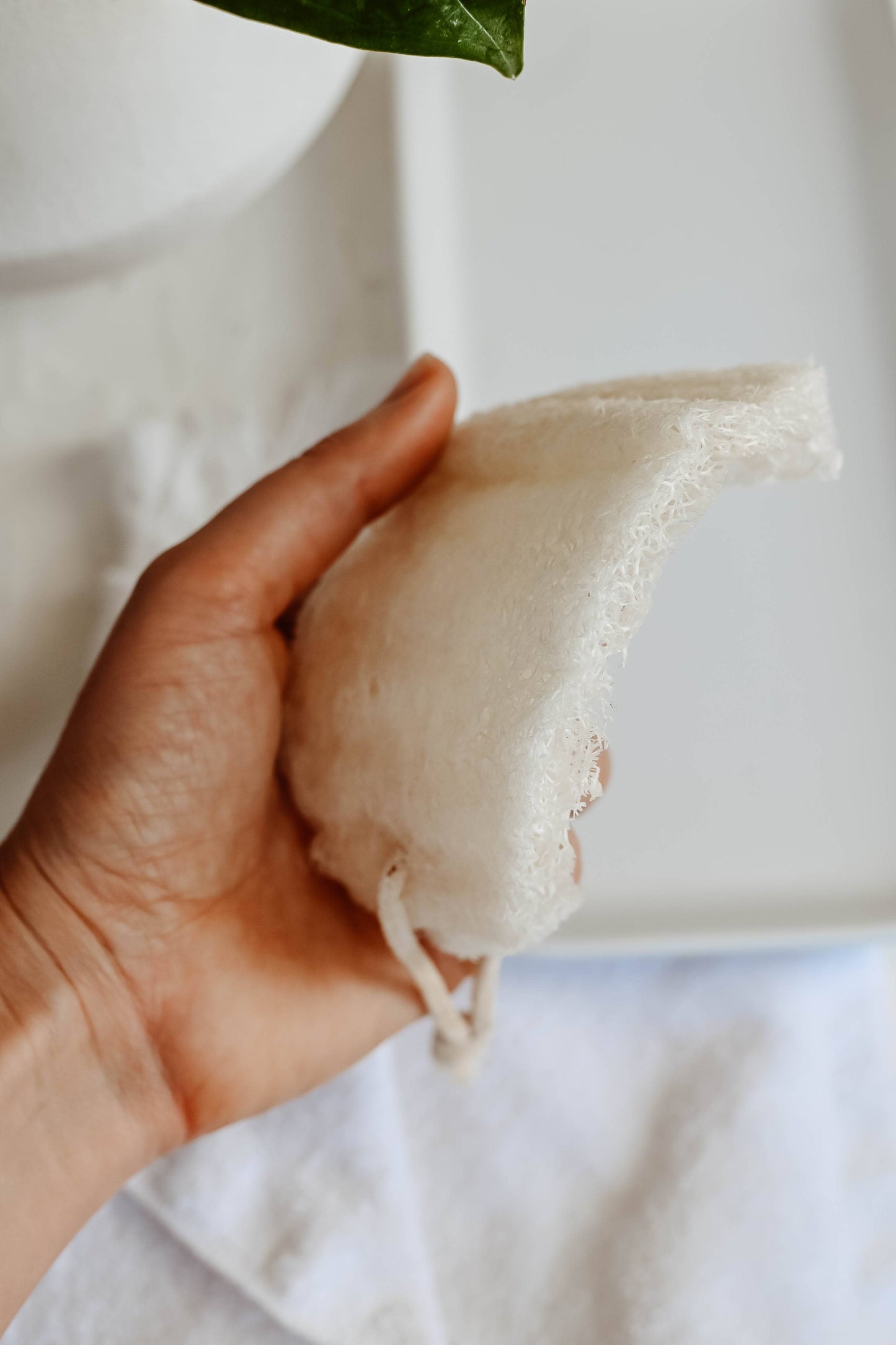 Loofah - single layer 2 pack