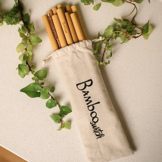 10 Organic Bamboo Straws & Coconut Fiber Straw Cleaner Set