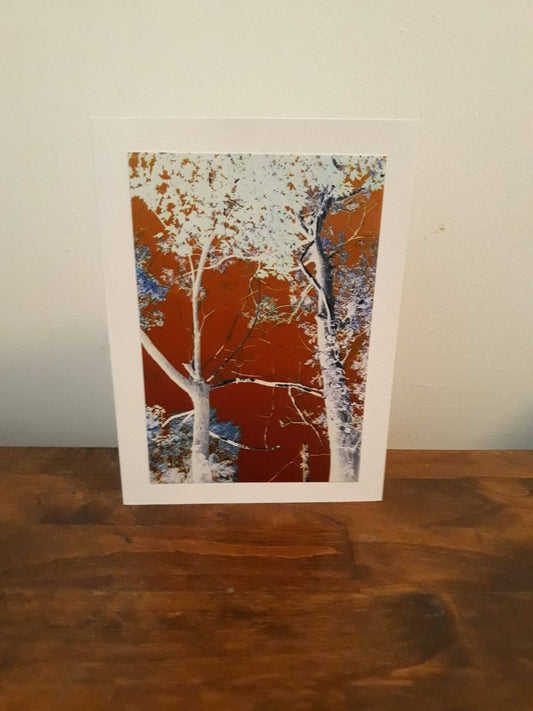 Photo Greeting Card Autumn Tree